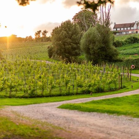 Отель Three Choirs Vineyards Ньюент Экстерьер фото